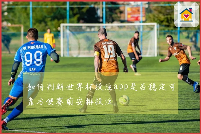 如何判断世界杯投注app是否稳定可靠方便赛前安排投注