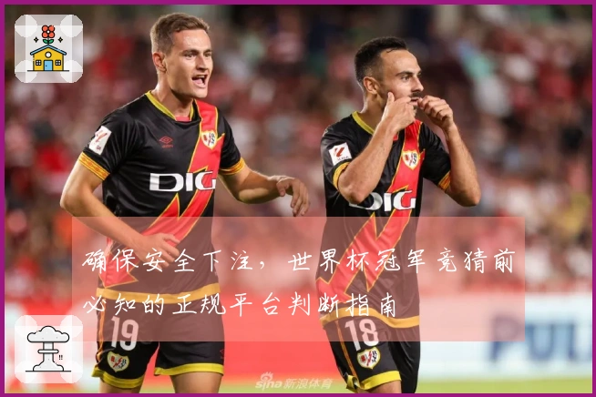 确保安全下注，世界杯冠军竞猜前必知的正规平台判断指南
