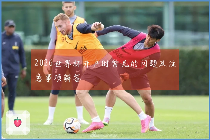2026世界杯开户时常见的问题及注意事项解答