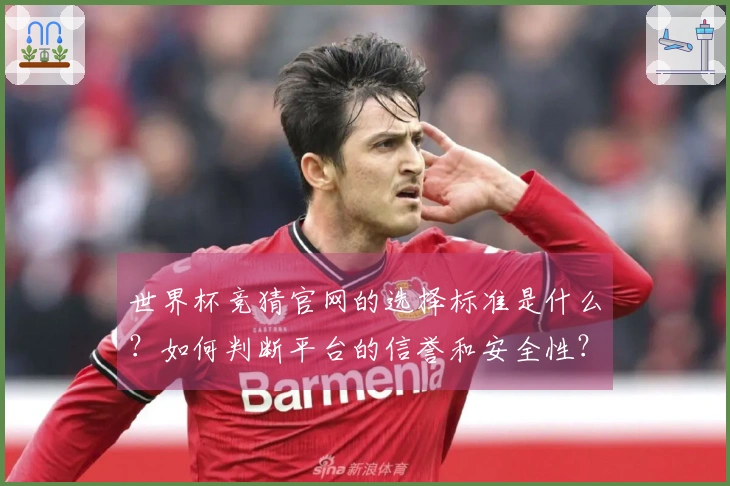 世界杯竞猜官网的选择标准是什么？如何判断平台的信誉和安全性？