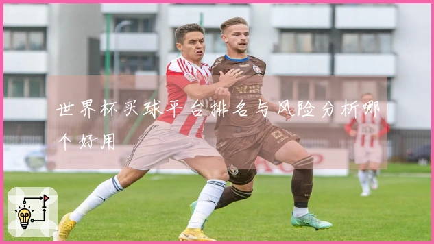 世界杯买球平台排名与风险分析哪个好用