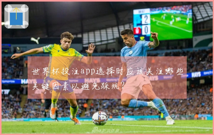 世界杯投注app选择时应该关注哪些关键因素以避免踩坑？