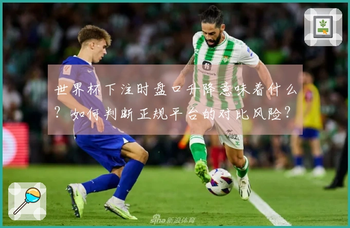 世界杯下注时盘口升降意味着什么？如何判断正规平台的对比风险？
