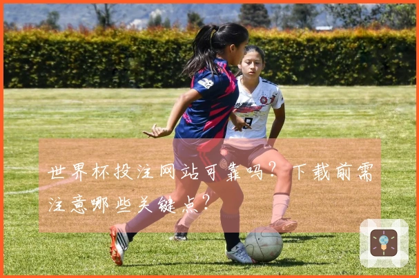 世界杯投注网站可靠吗？下载前需注意哪些关键点？