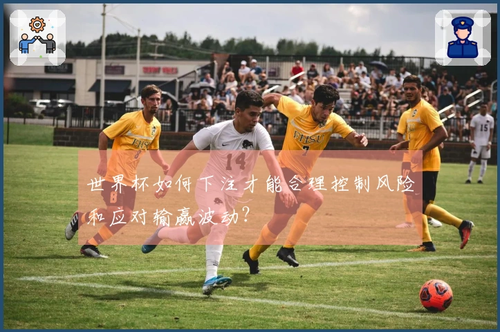 世界杯如何下注才能合理控制风险和应对输赢波动？