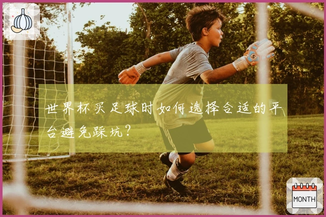 世界杯买足球时如何选择合适的平台避免踩坑？