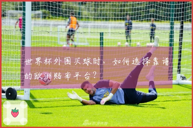 世界杯外围买球时，如何选择靠谱的欧洲赔率平台？