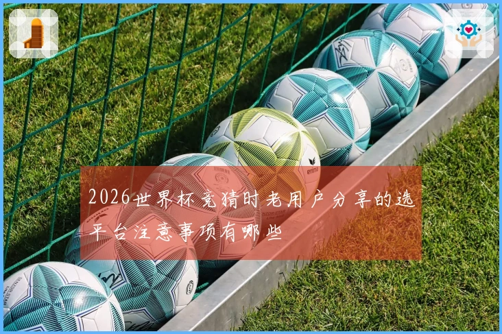 2026世界杯竞猜时老用户分享的选平台注意事项有哪些
