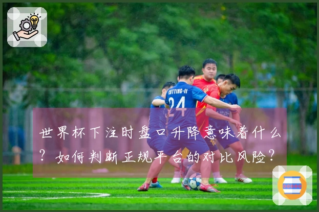 世界杯下注时盘口升降意味着什么？如何判断正规平台的对比风险？