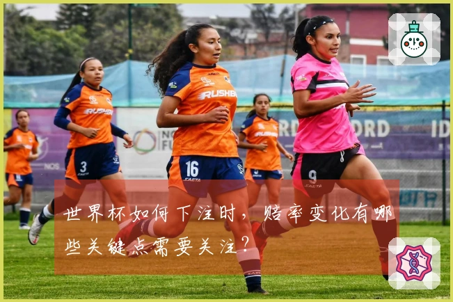 世界杯如何下注时，赔率变化有哪些关键点需要关注？