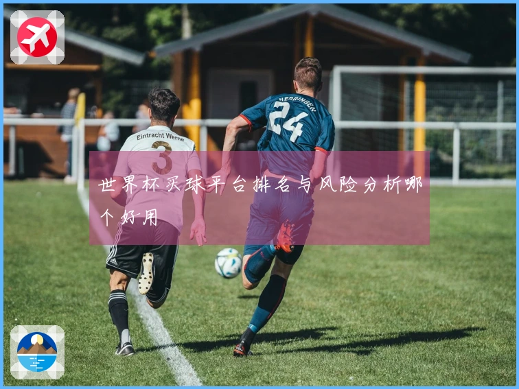 世界杯买球平台排名与风险分析哪个好用