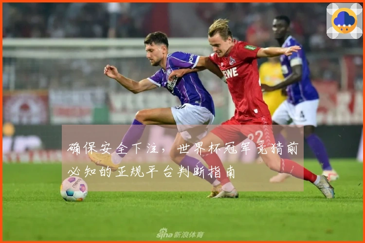 确保安全下注，世界杯冠军竞猜前必知的正规平台判断指南