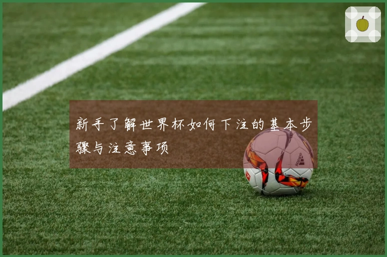 新手了解世界杯如何下注的基本步骤与注意事项
