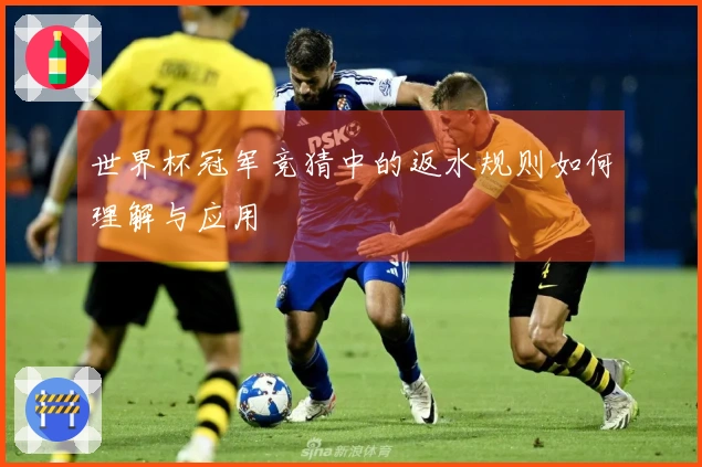世界杯冠军竞猜中的返水规则如何理解与应用