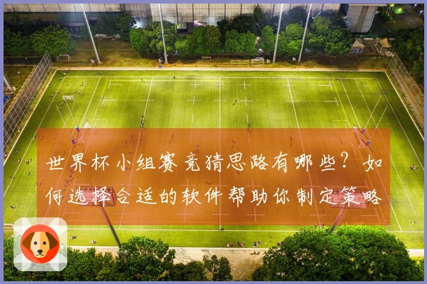 世界杯小组赛竞猜思路有哪些？如何选择合适的软件帮助你制定策略？