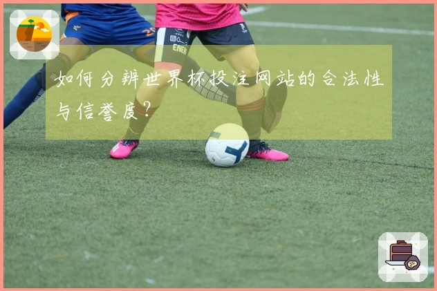 如何分辨世界杯投注网站的合法性与信誉度？