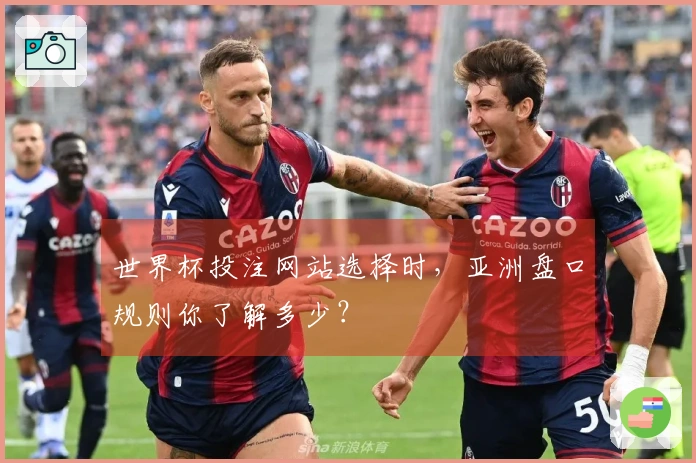 世界杯投注网站选择时，亚洲盘口规则你了解多少？