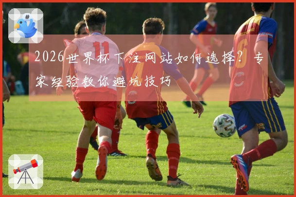 2026世界杯下注网站如何选择？专家经验教你避坑技巧