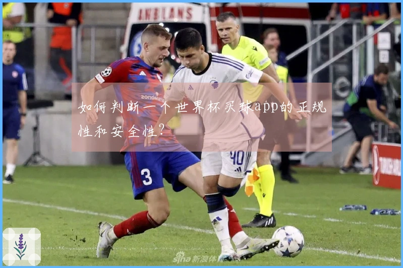 如何判断一个世界杯买球app的正规性和安全性？