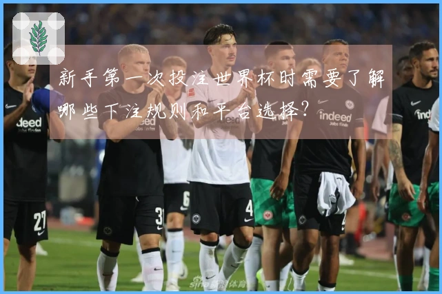 新手第一次投注世界杯时需要了解哪些下注规则和平台选择？