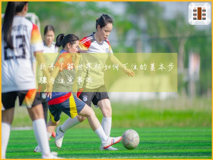 新手了解世界杯如何下注的基本步骤与注意事项