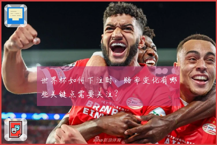 世界杯如何下注时，赔率变化有哪些关键点需要关注？